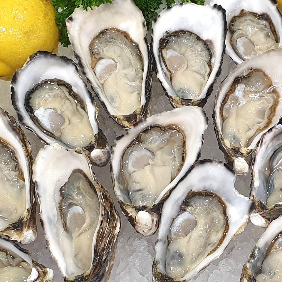 Freshly Shucked Live Pacific Oyster (Dozen)