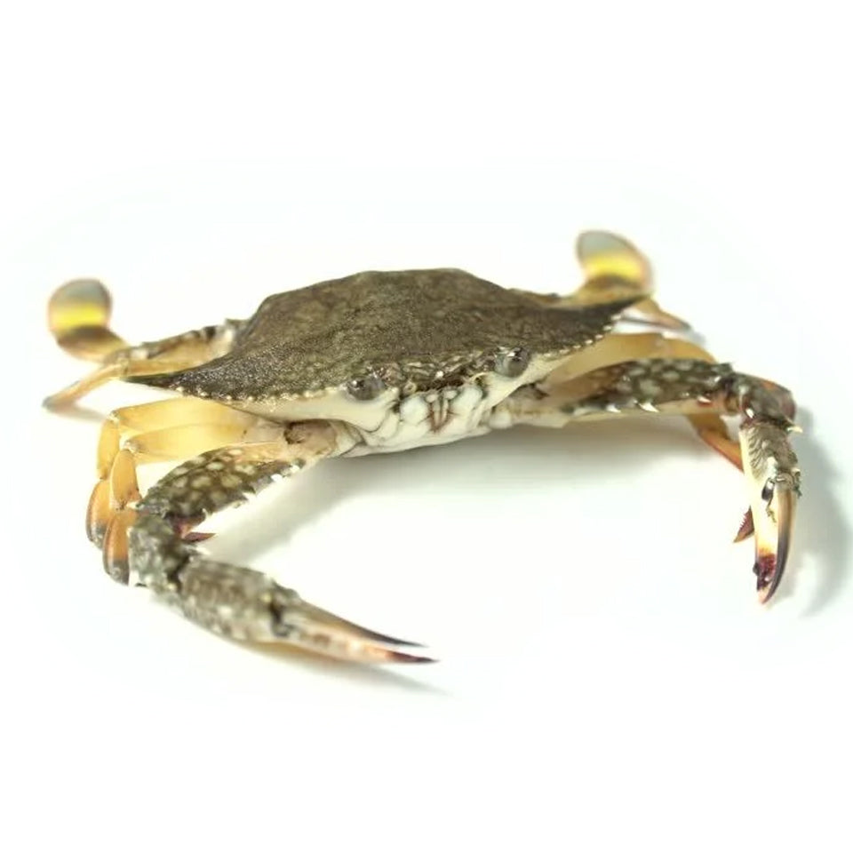 Raw Blue Swimmer Crab (Min 300g)
