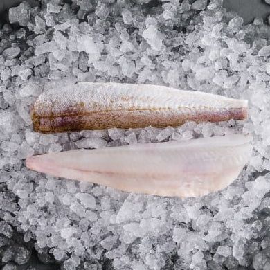 Sand whiting Fillets (500g)
