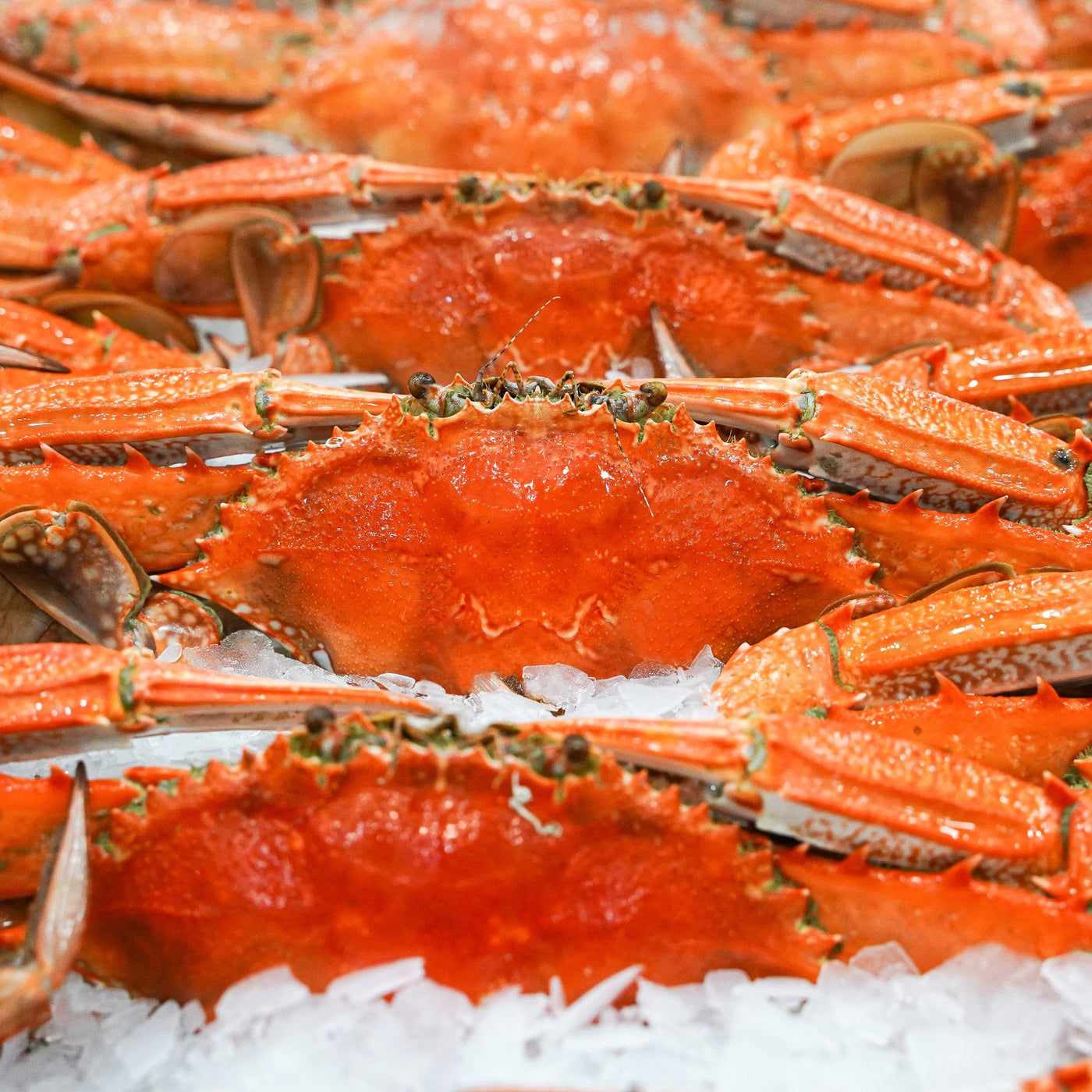 *Cooked Blue Swimmer Crab 1kg