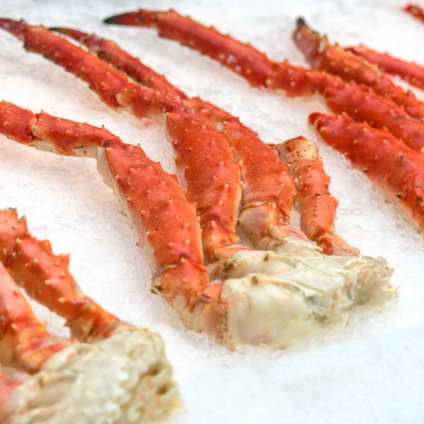 Cooked King Crab Legs (520 - 600g)