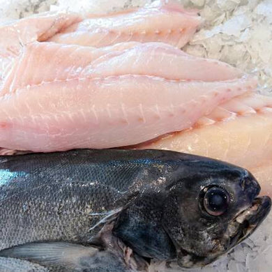 Blue Eye Fillet (Min 700g) – Moby's Seafood
