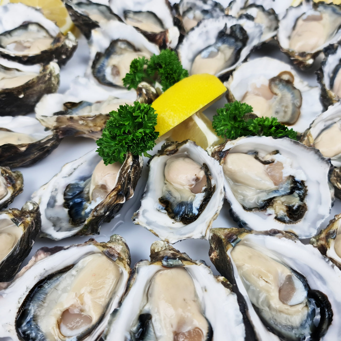 *Oyster platter