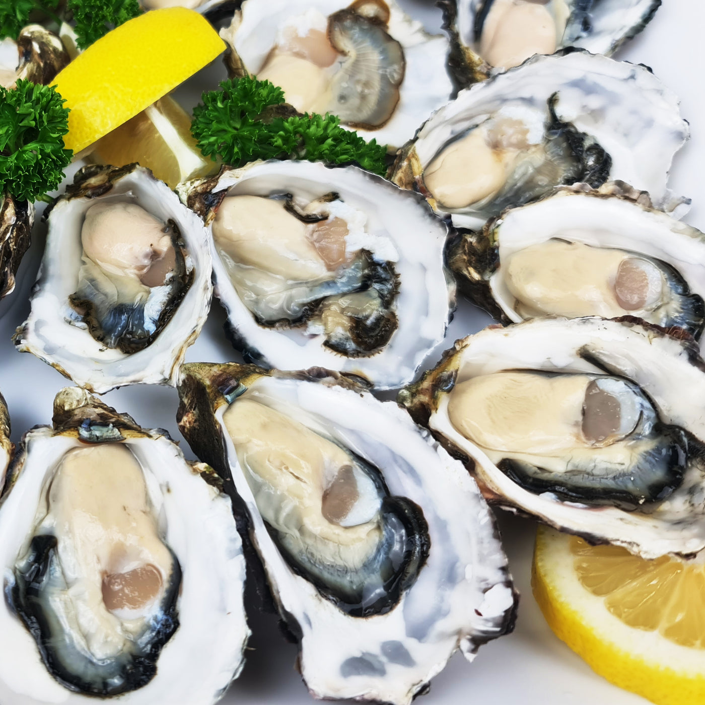 Oyster platter