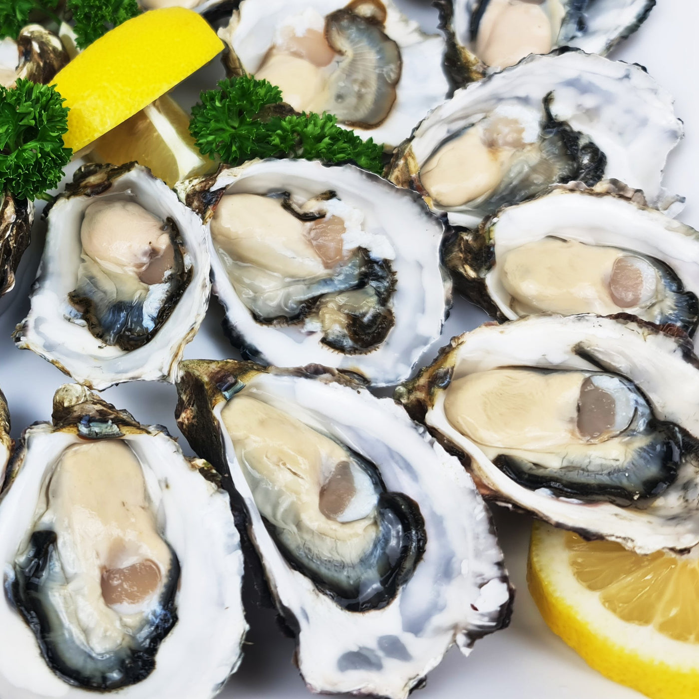 *Oyster platter