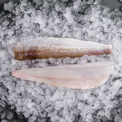 Sand Fillet Sand whiting Fillets (500g) – Moby's Seafood