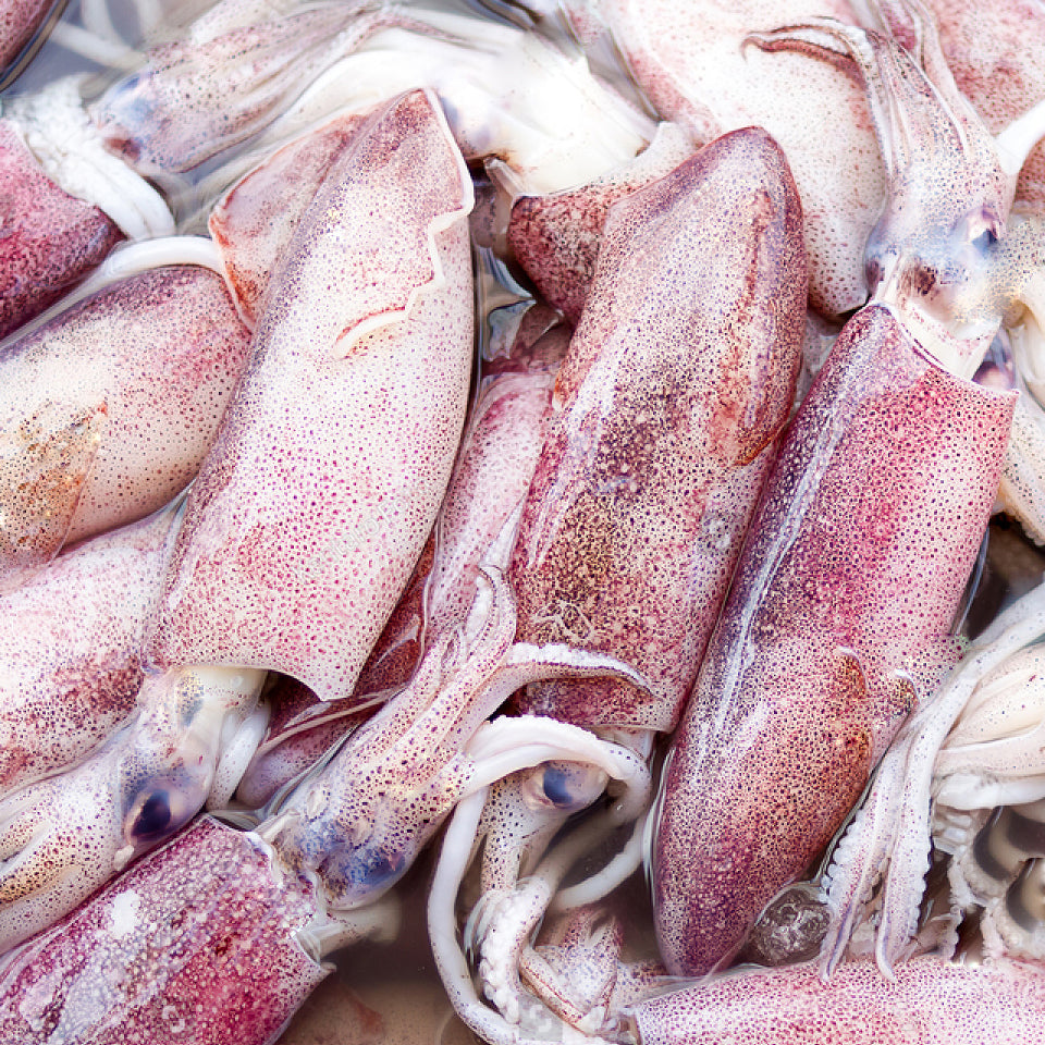 Southern Calamari 1kg