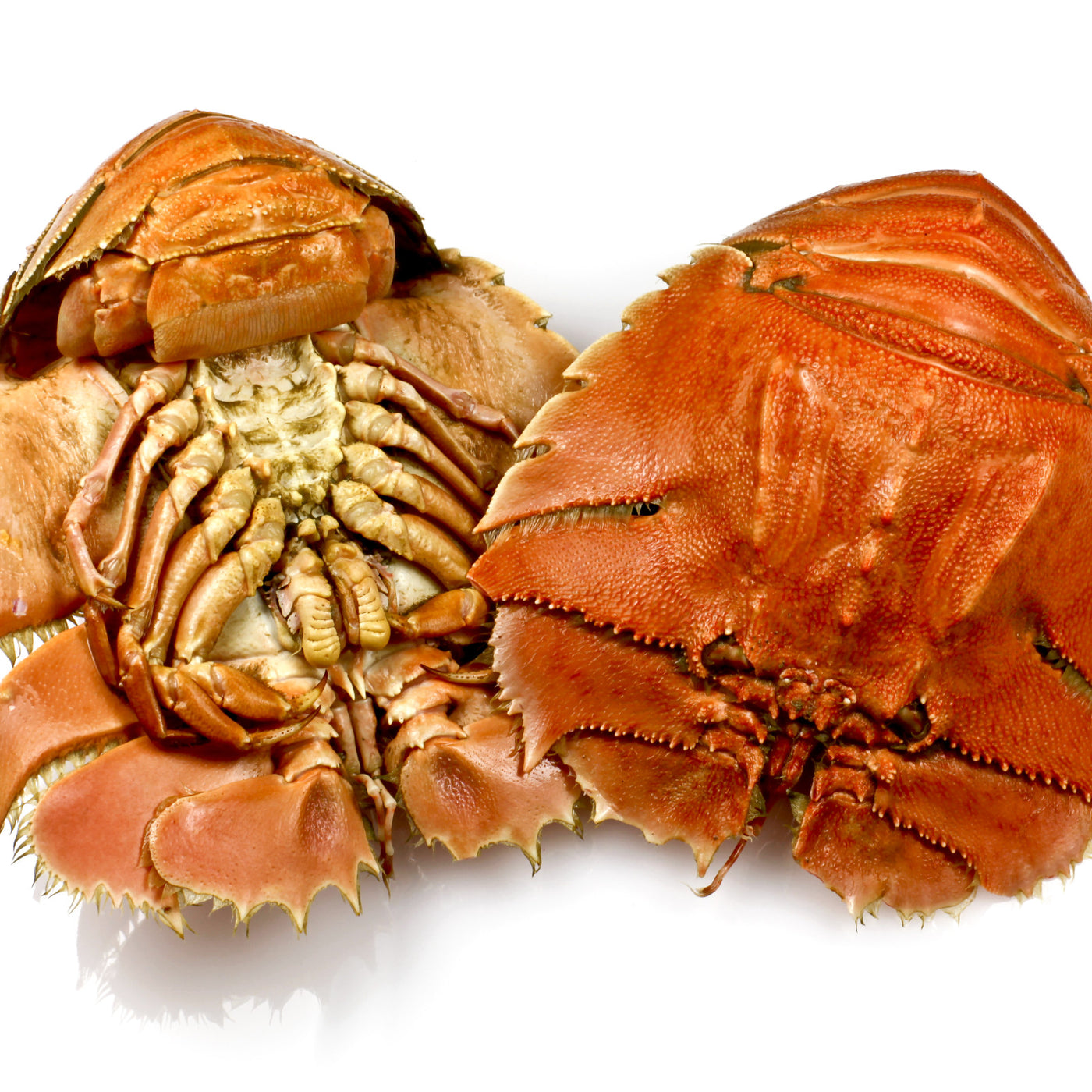 Cooked Balmain Bugs (500g)