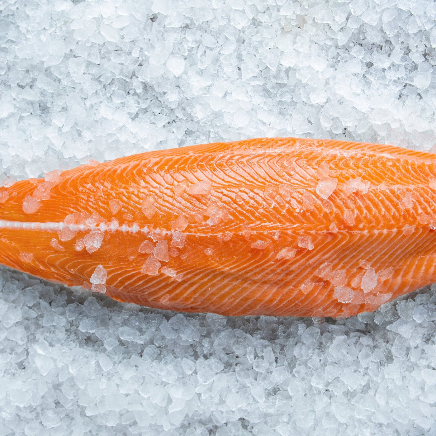 *Ocean Trout Side Fillet (Min 1.1kg)