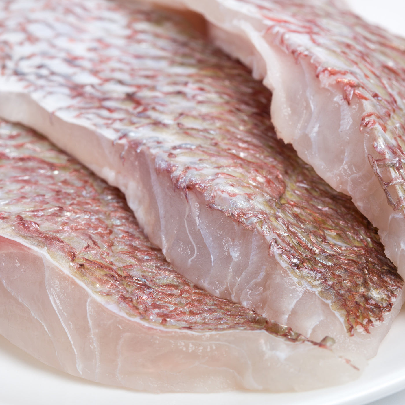 Snapper Fillet (500g) – Moby's Seafood